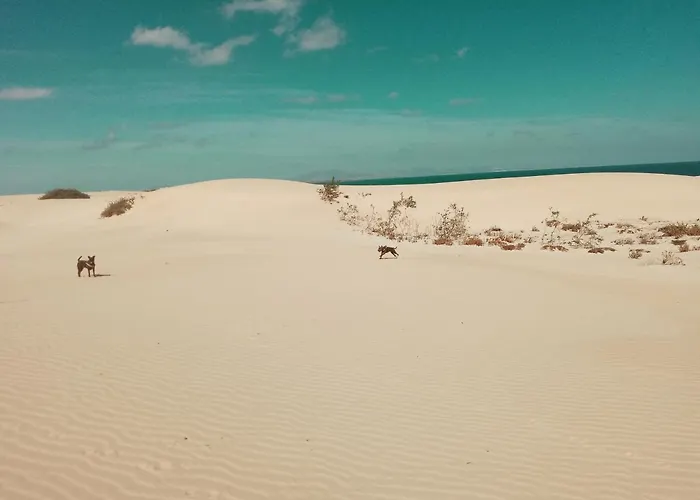 Desert Of Love Fuerteventura Costa Calma