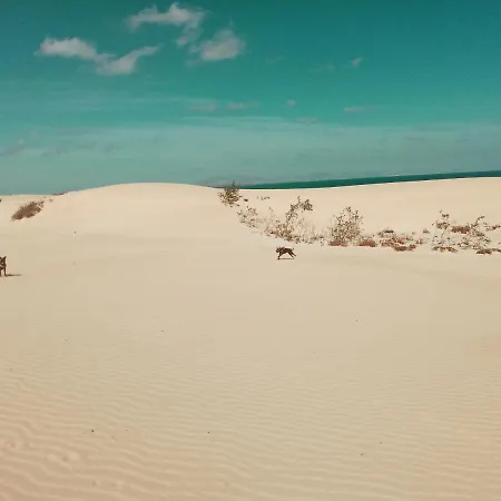 Desert Of Love Fuerteventura Κόστα Κάλμα
